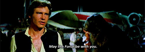 tumblr_n51822UfP81r0qw14o3_500